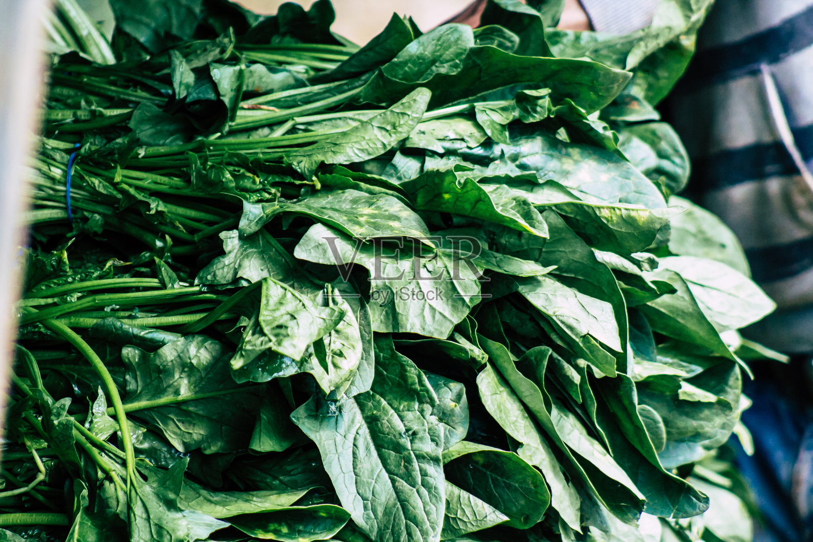 塞浦路斯的颜色照片摄影图片