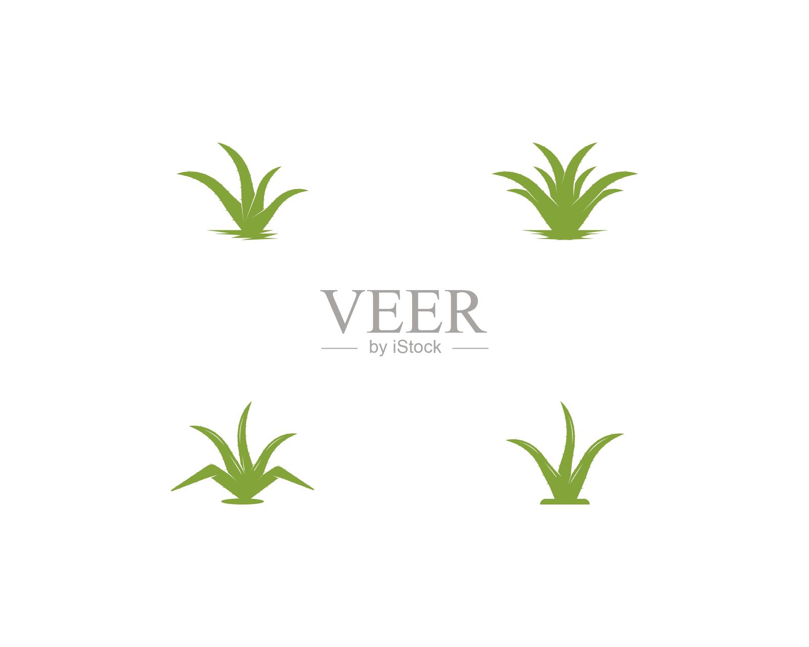 芦荟矢量模板插图设计元素图片