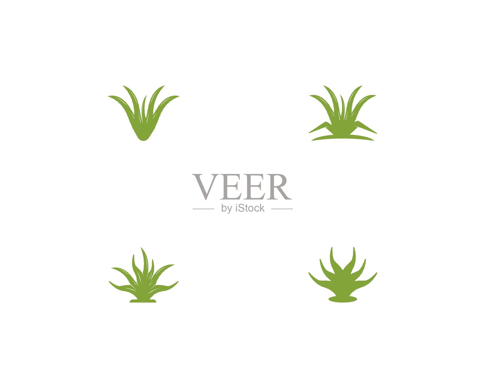 芦荟矢量模板插图设计元素图片