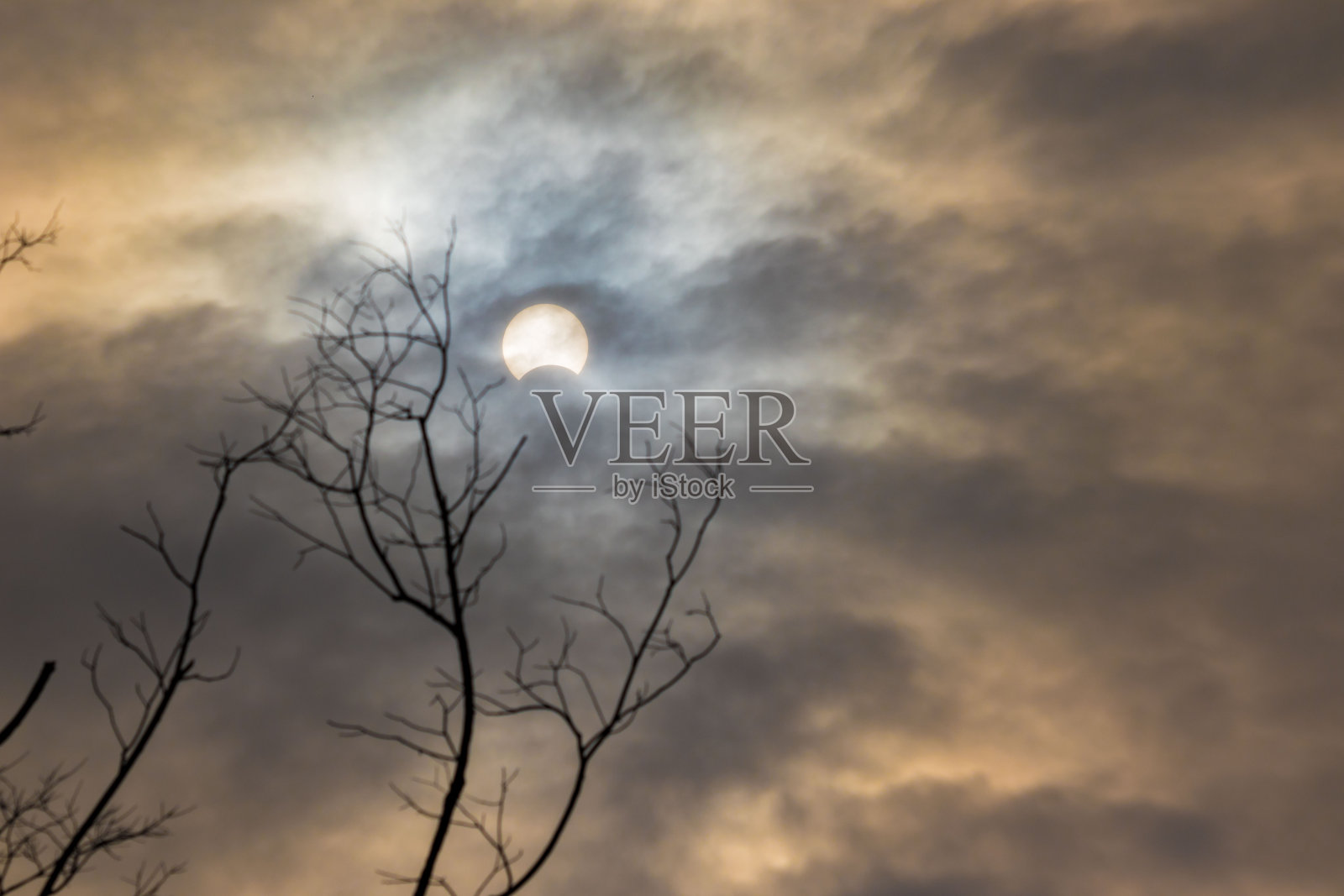 日偏食照片摄影图片