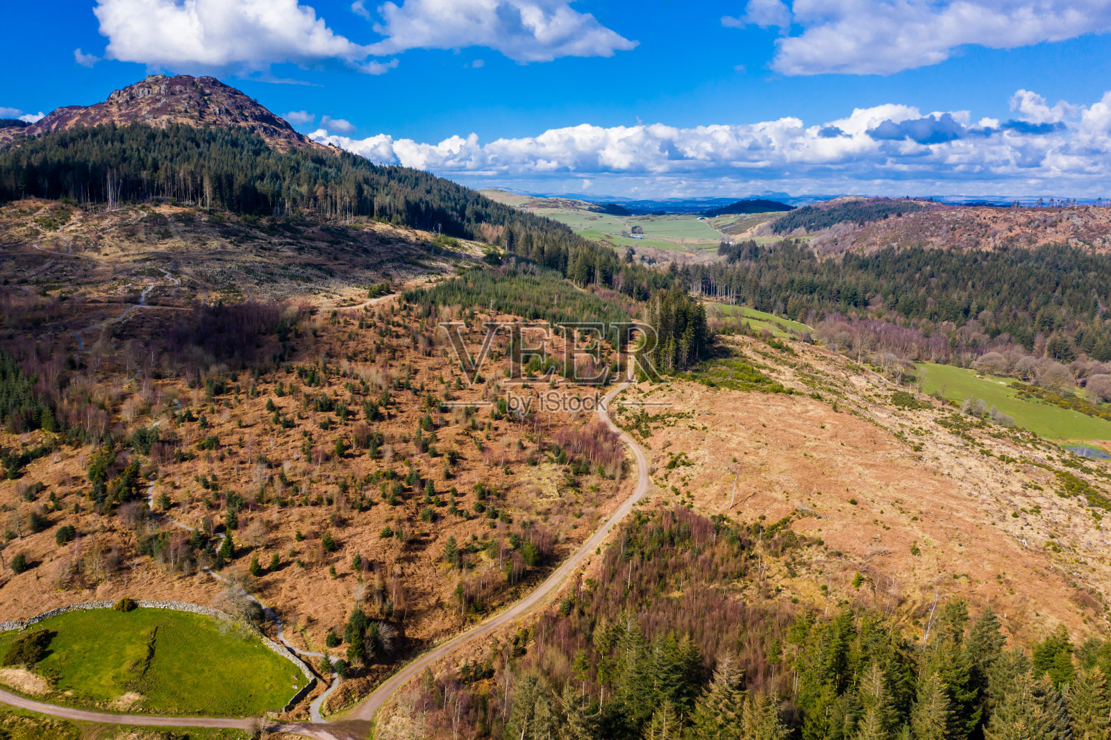 苏格兰丹弗里斯和盖洛韦的松树林区鸟瞰照片摄影图片
