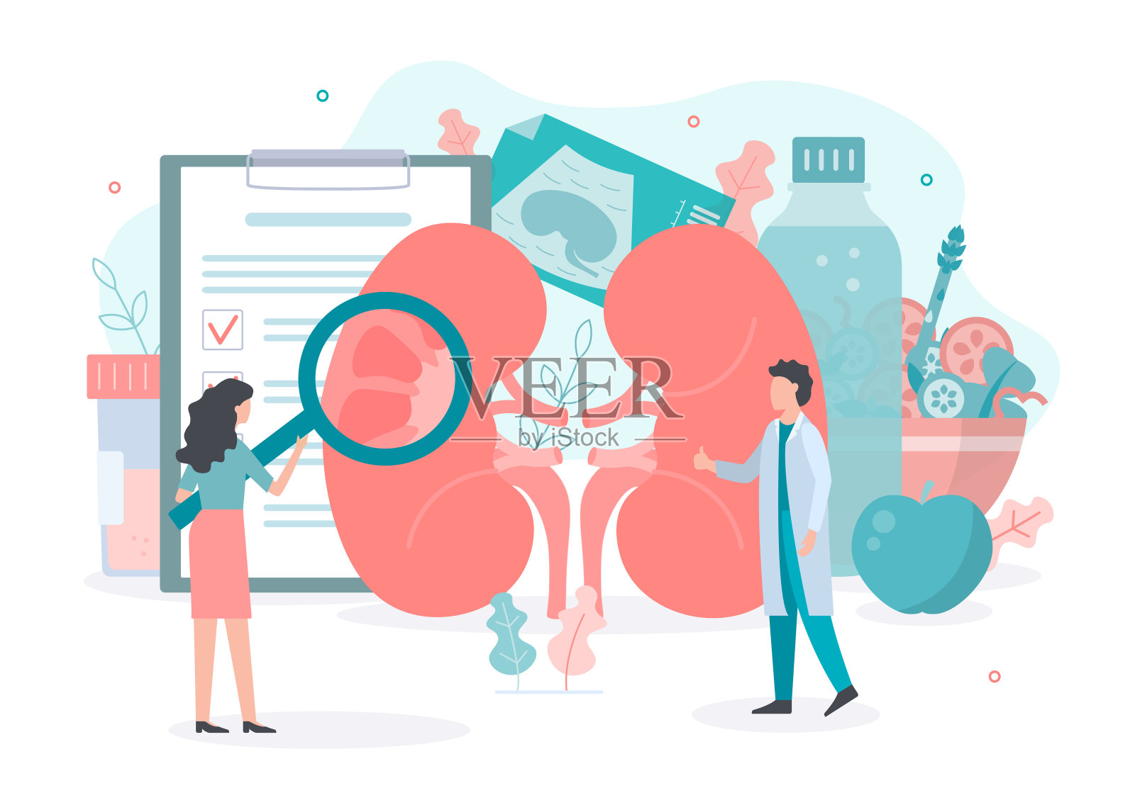 肾脏的健康概念插画图片素材