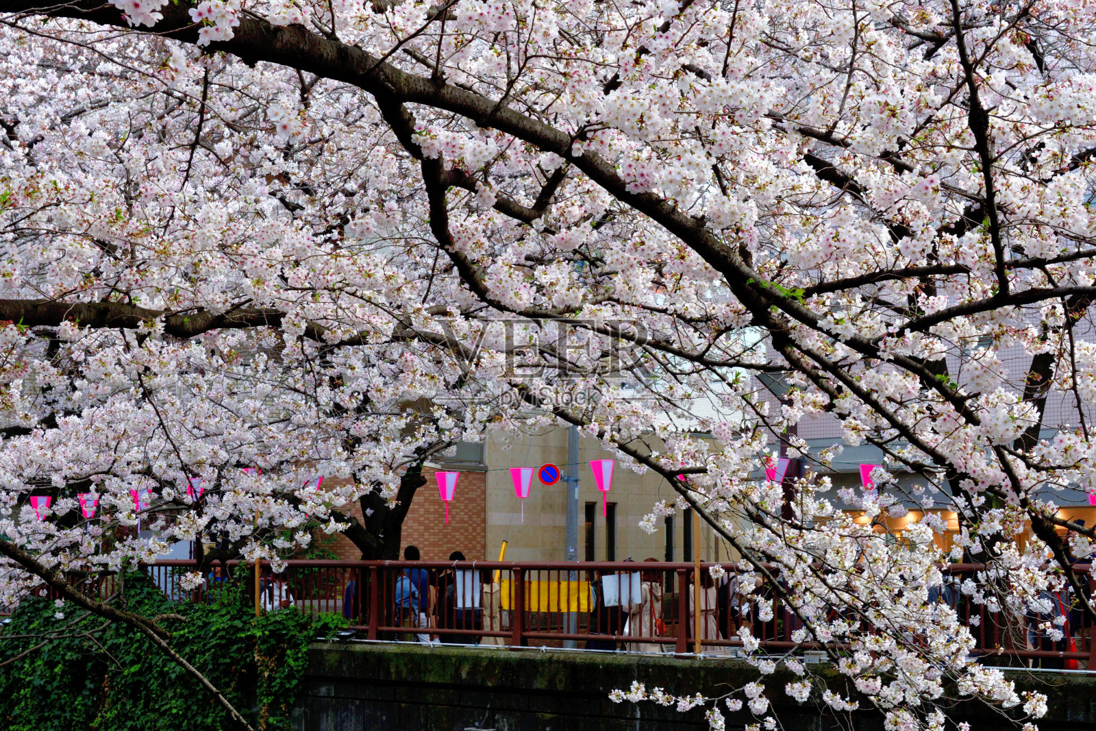 东京目黑川赏樱照片摄影图片