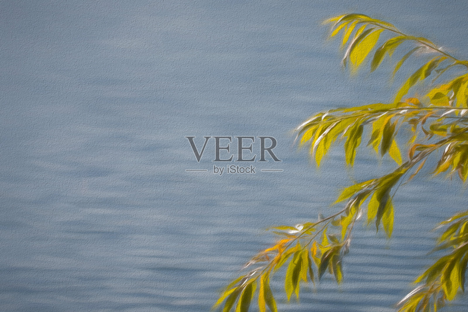 秋叶中有白垩的效果照片摄影图片