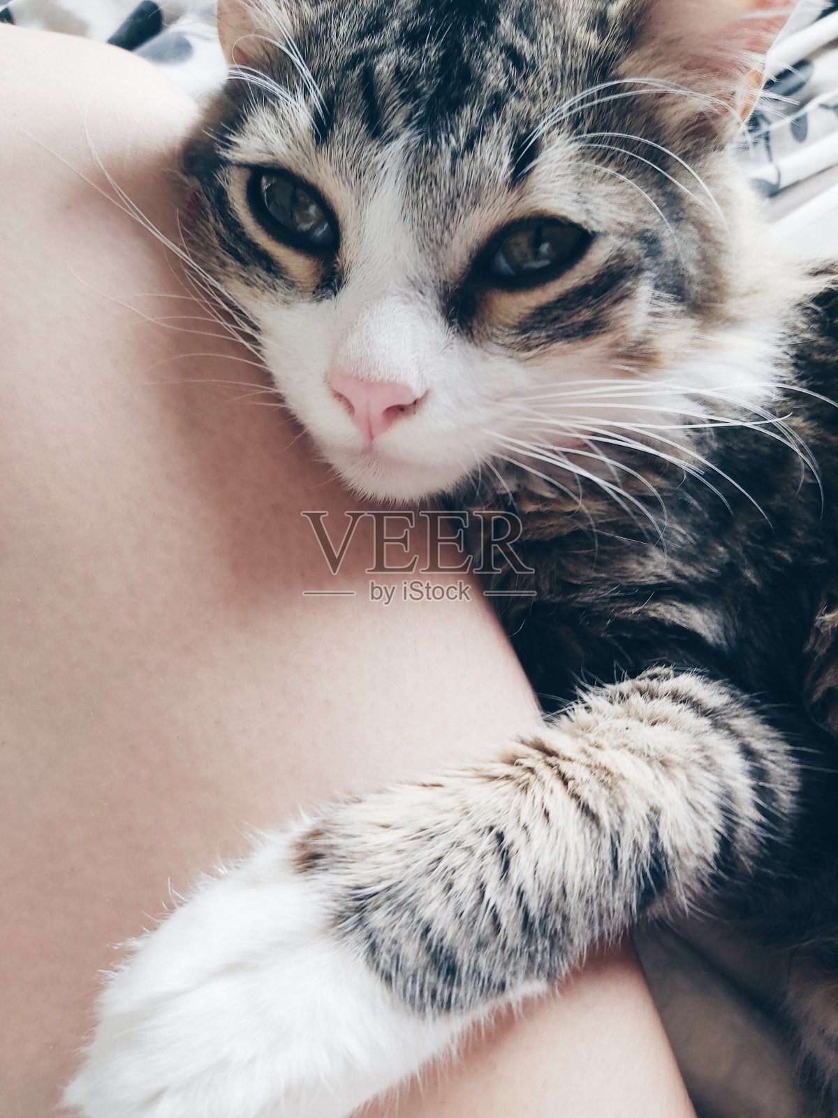 拥抱照片摄影图片