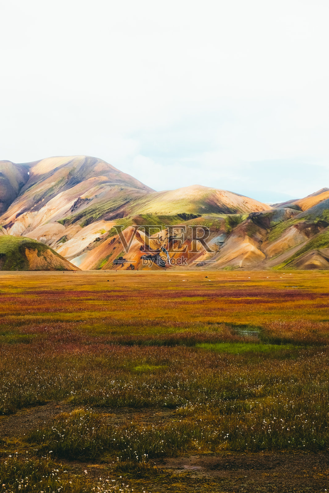 风景优美的日出之上的山脉和美丽的草原在荒野的中央照片摄影图片