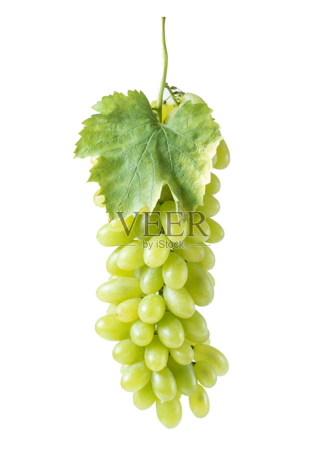 绿色葡萄果实食品健康孤立在白色背景裁剪路径照片摄影图片