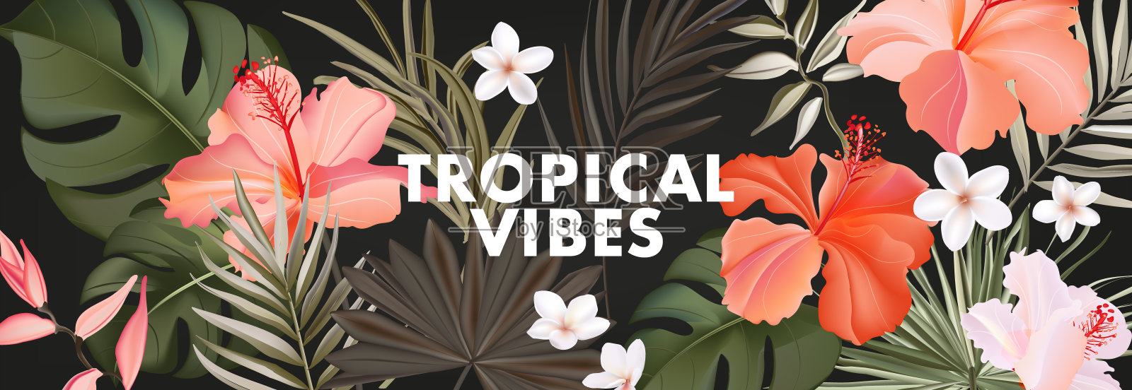 热带风情木槿，皇家棕榈，鸡蛋花夏威夷异国情调印花。夏宽横网站横幅，矢量。雨林集插画图片素材