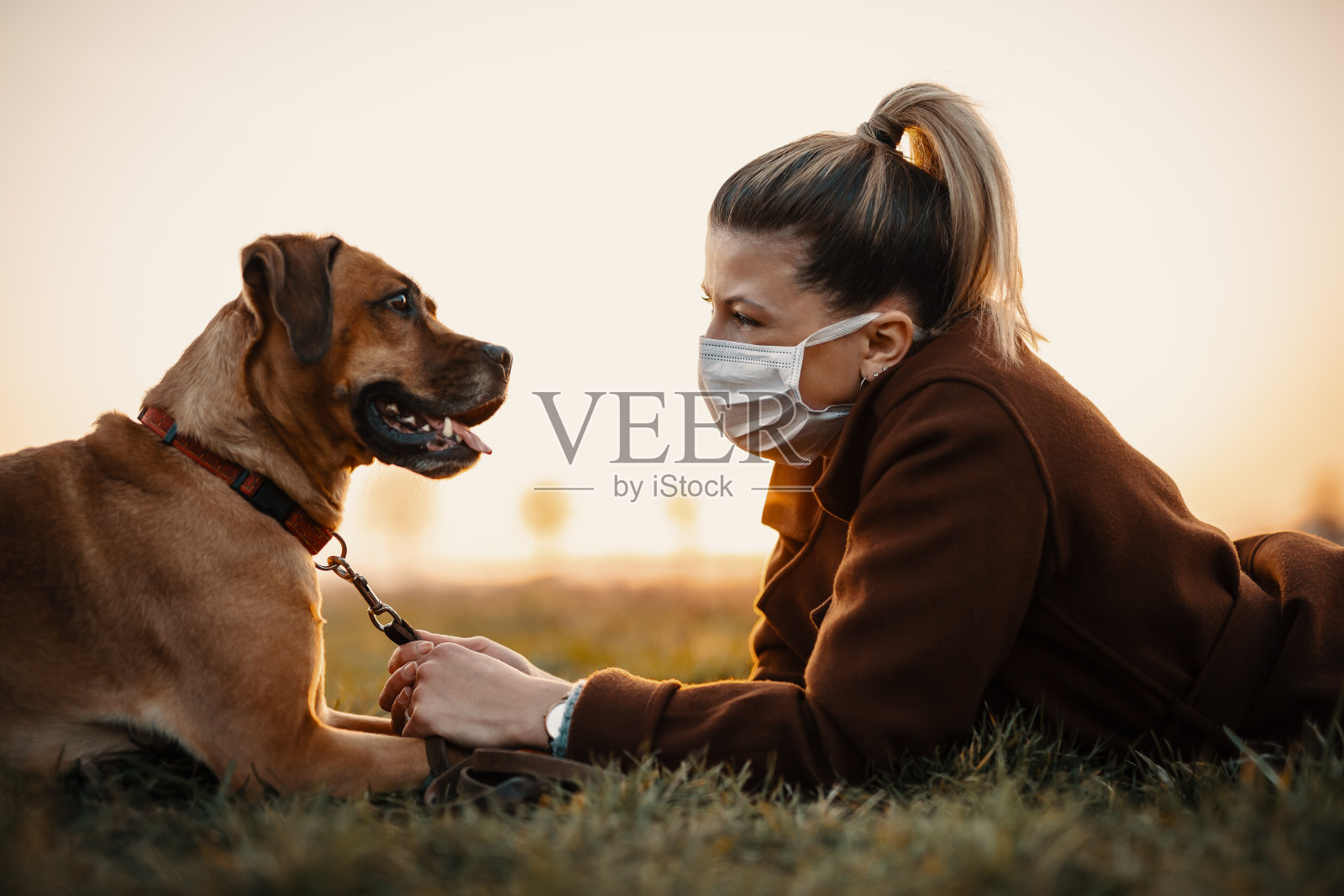 宠物主人在新冠疫情期间照片摄影图片