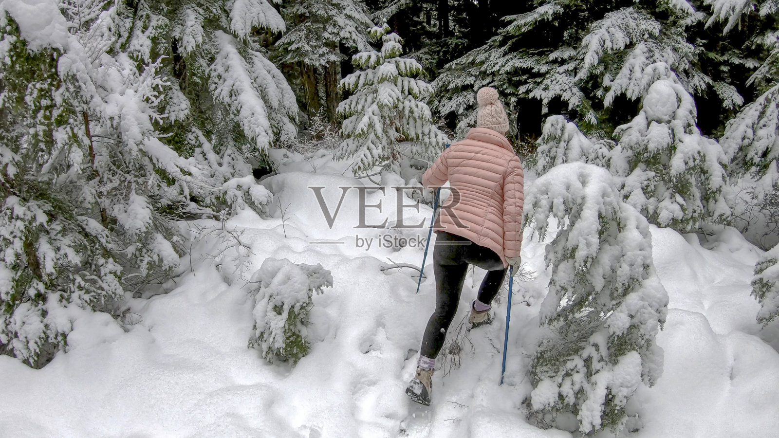 一名女性徒步旅行者穿过白雪覆盖的森林照片摄影图片