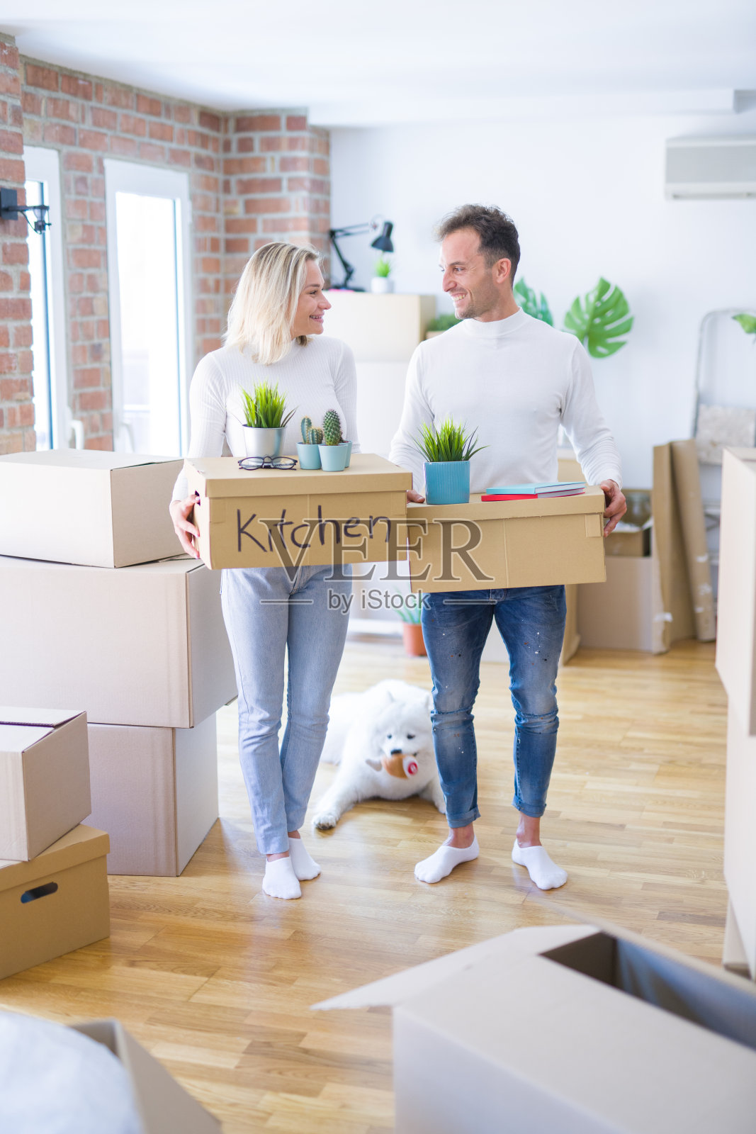 年轻情侣带着狗在新家搬运纸箱照片摄影图片