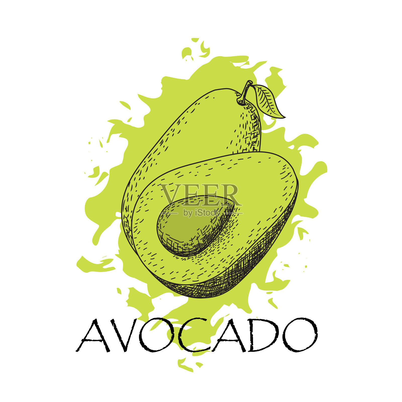 手绘牛油果素描。热带夏季水果美食画。插画图片素材