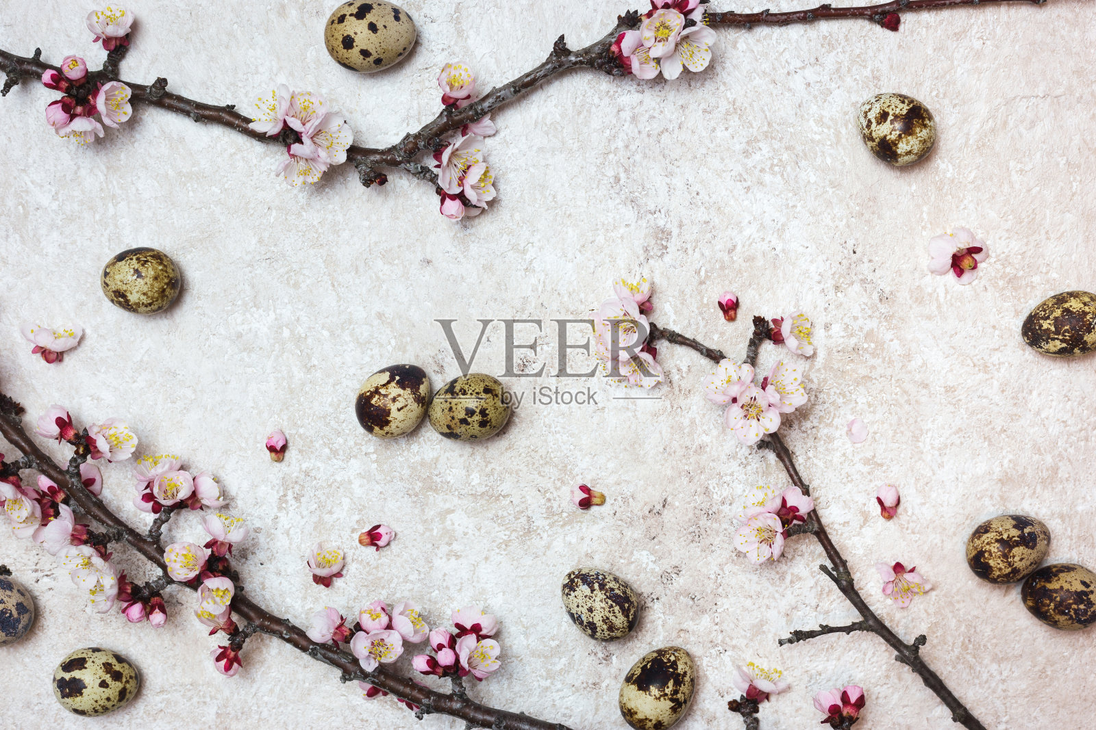 春天或复活节的边界背景照片摄影图片