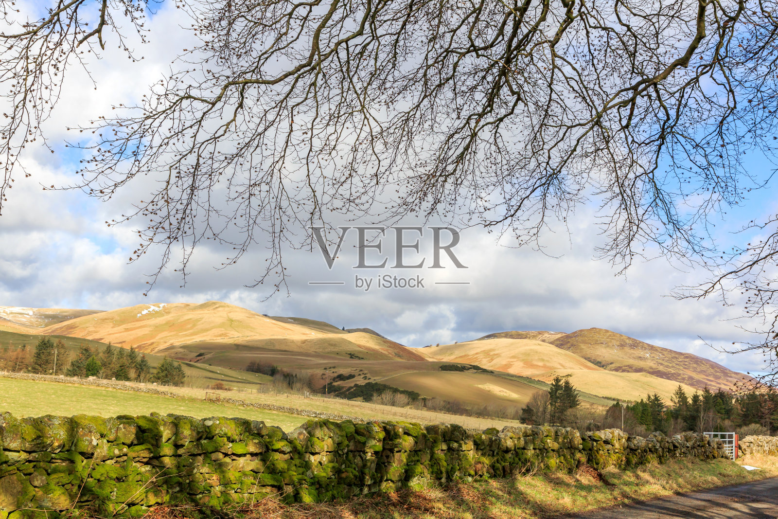 Pentland山照片摄影图片