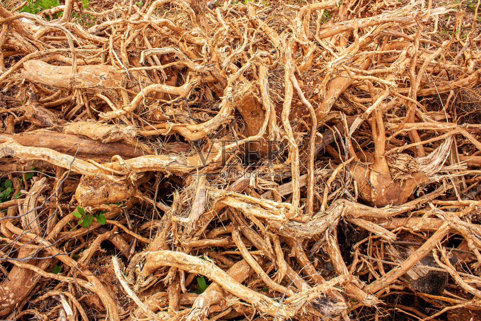 形状和纹理照片摄影图片