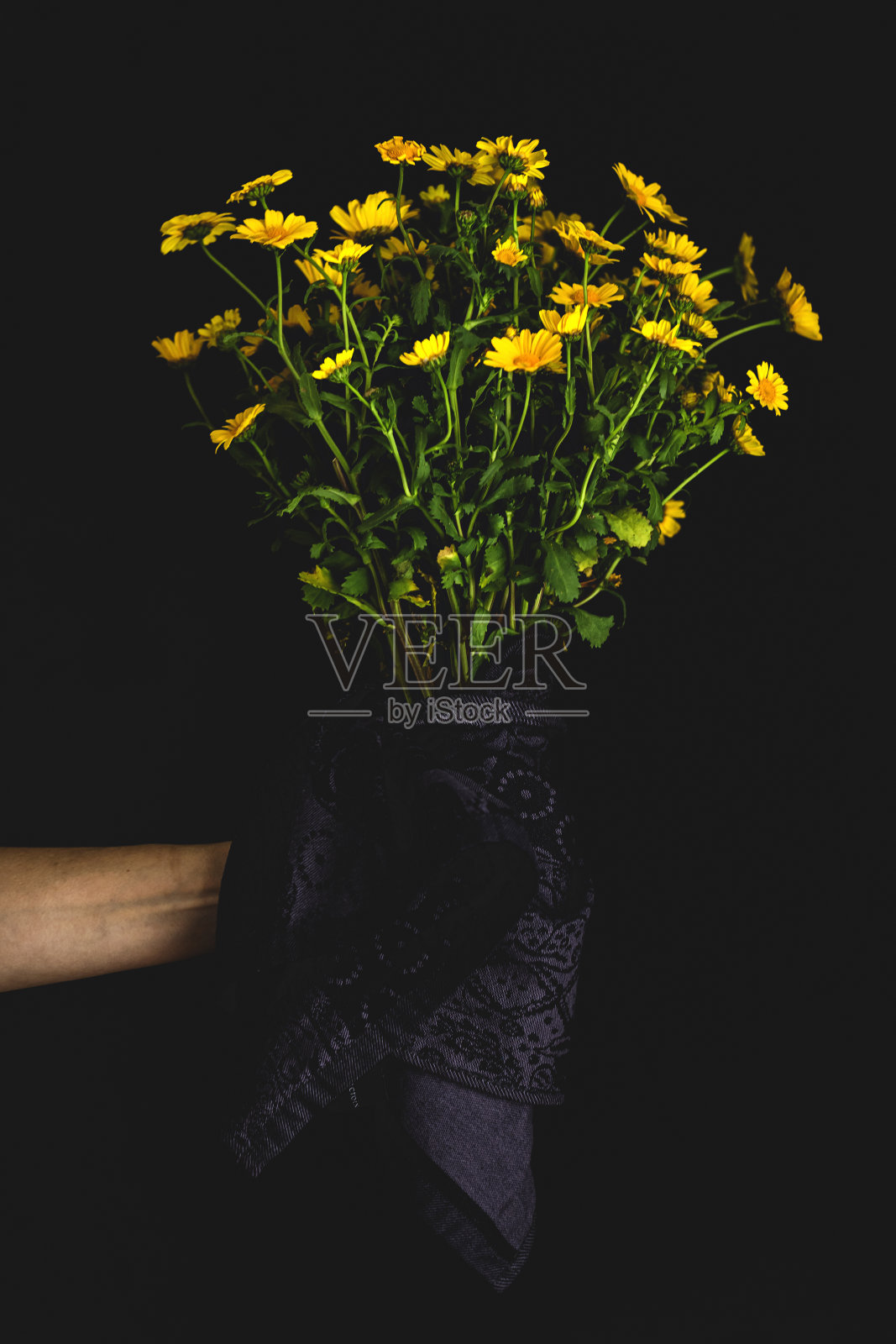 女人手里拿着一束春天的鲜花照片摄影图片