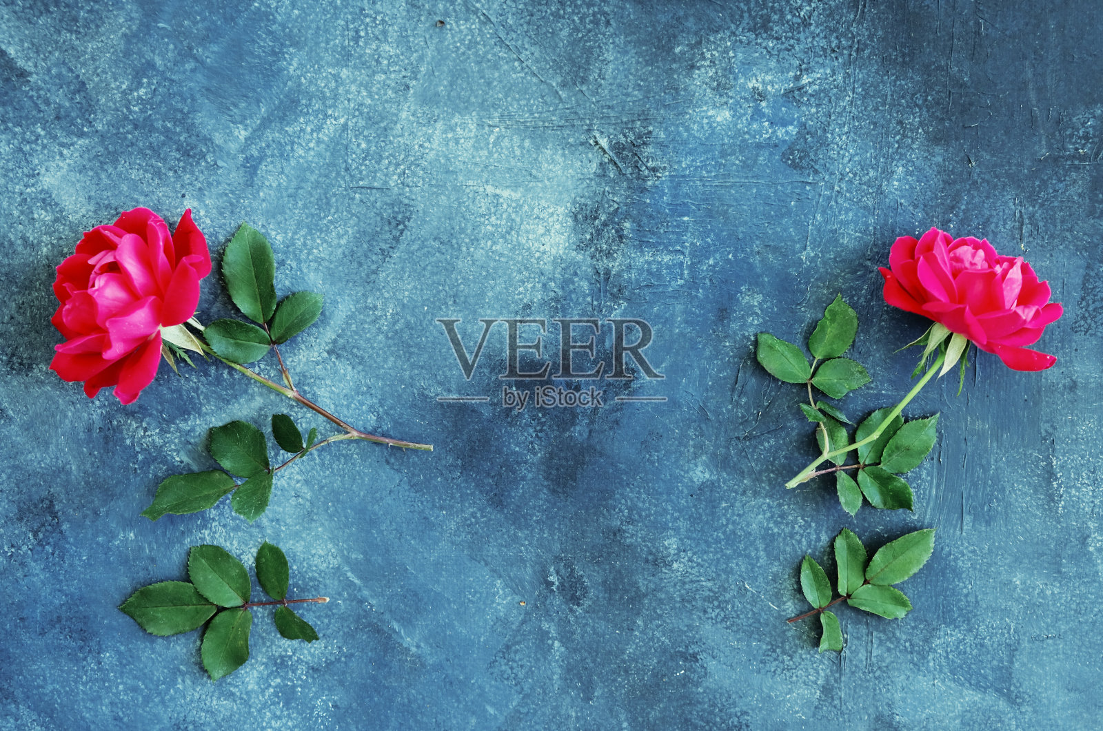 粉红玫瑰纹理背景与复制空间照片摄影图片