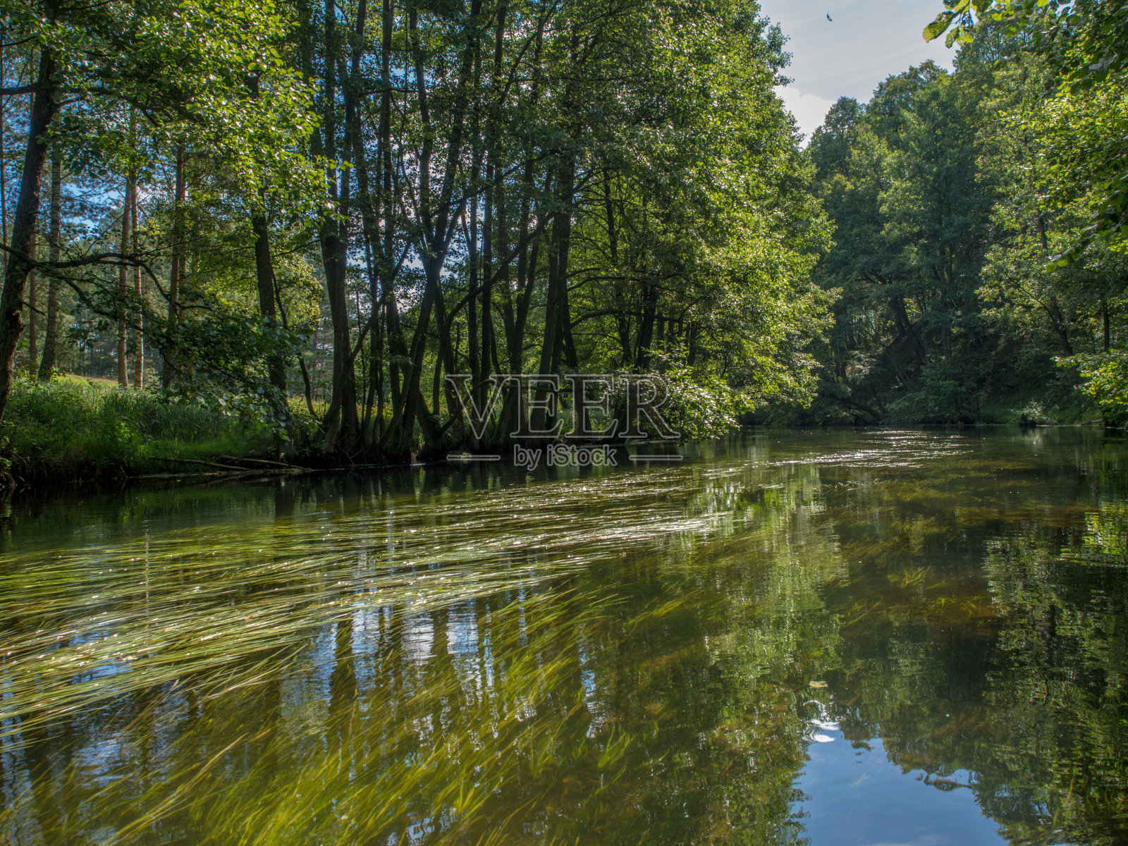 树和云倒映在水中照片摄影图片