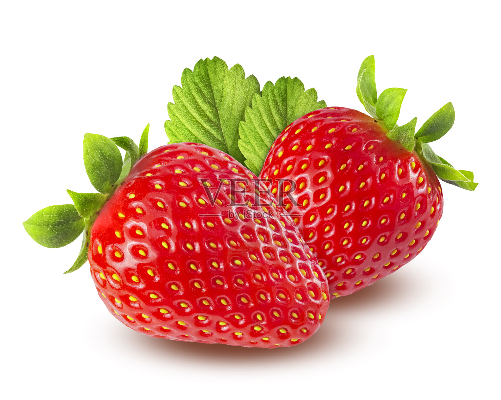 白色背景上孤立的两个带有绿叶的草莓照片摄影图片