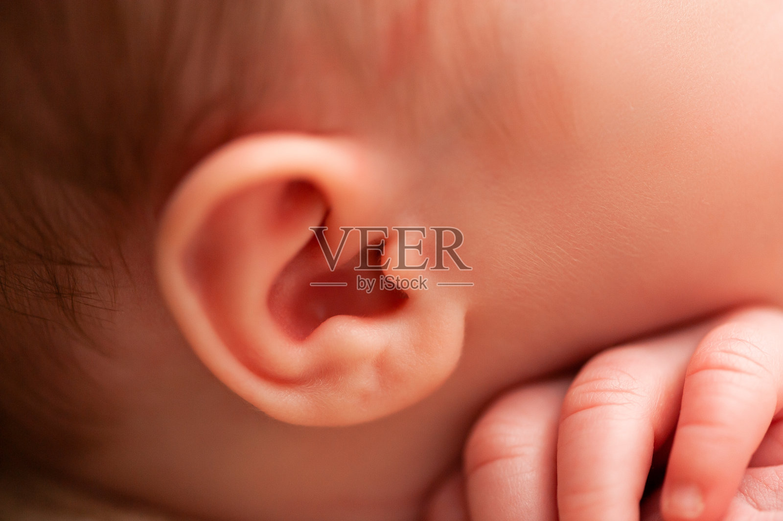 新生儿的耳朵照片摄影图片