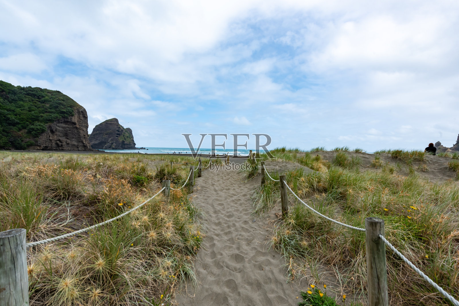 新西兰奥克兰的皮哈海滩照片摄影图片