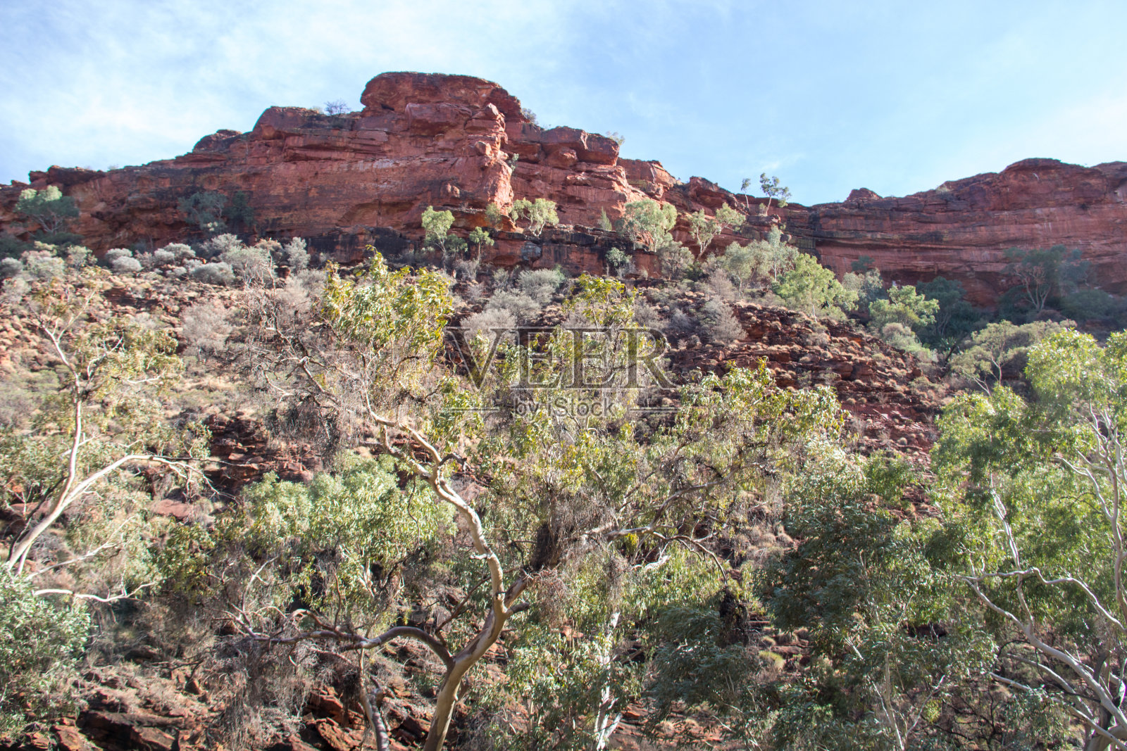 澳大利亚:国王峡谷照片摄影图片