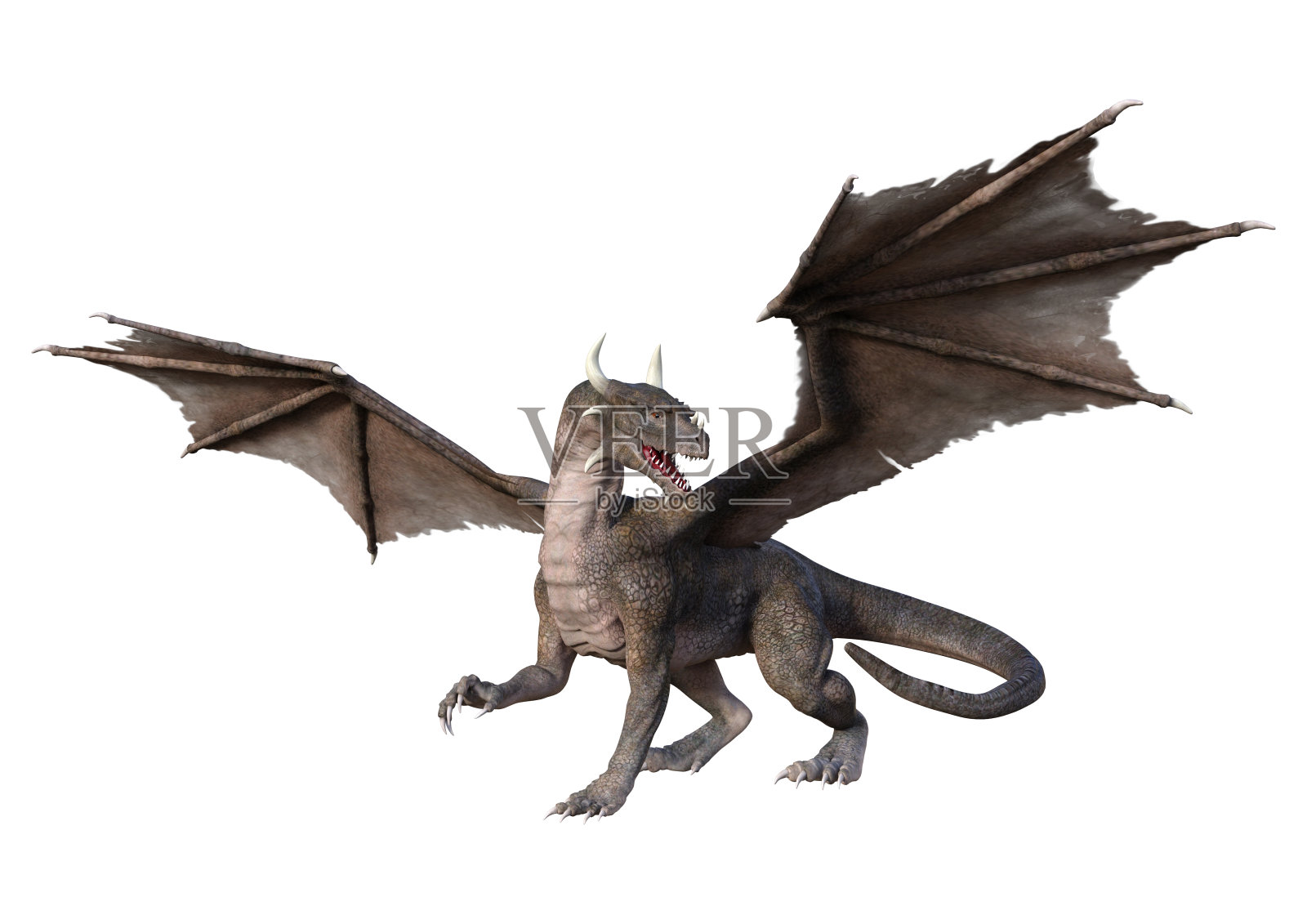 3D插图幻想龙在白色照片摄影图片