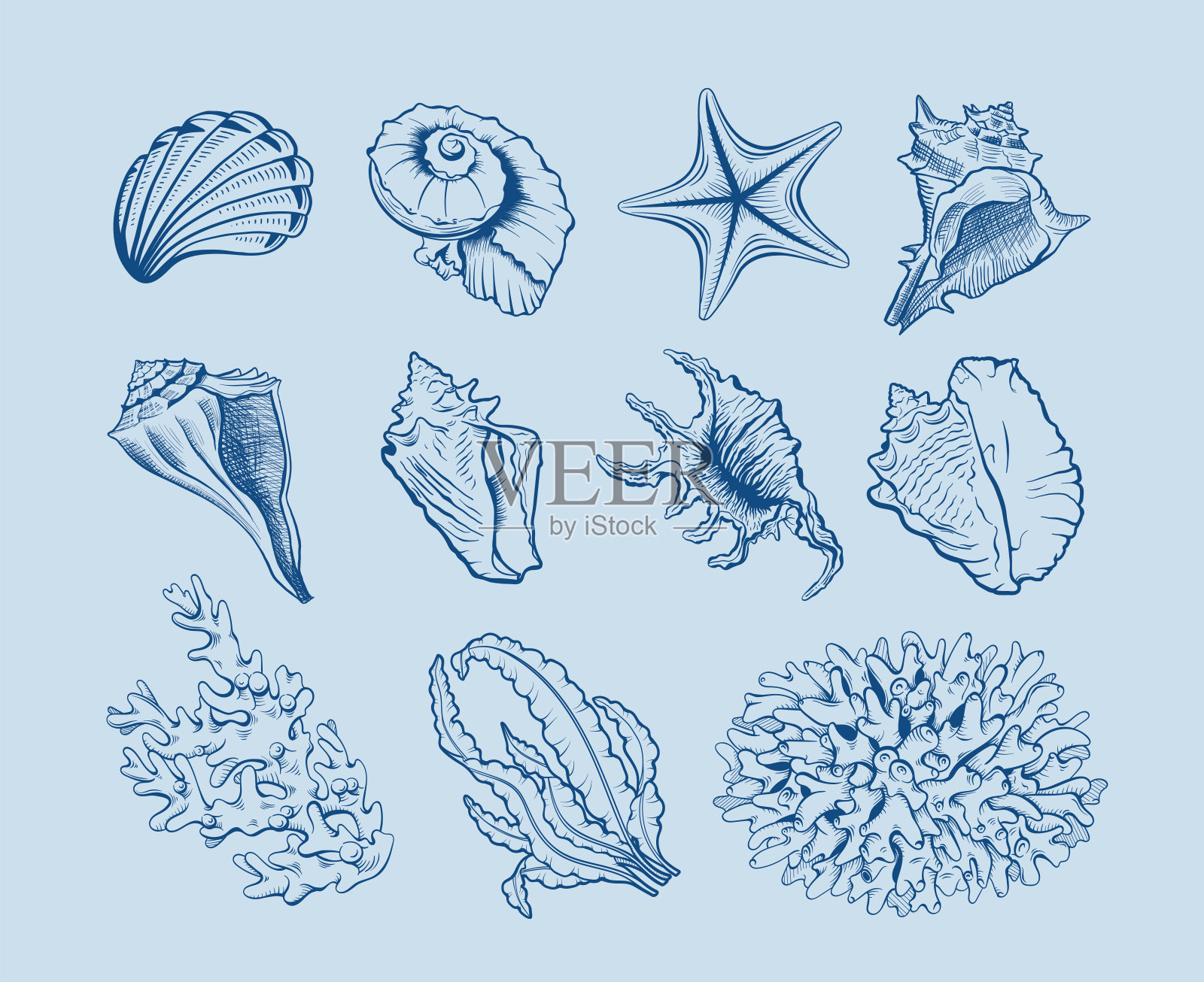 海洋动物群和植物图例设置插画图片素材