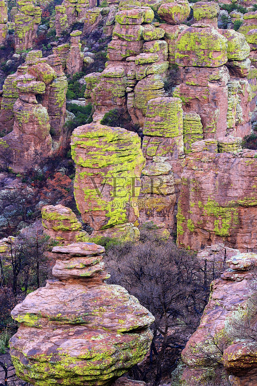 Chiricahua国家纪念碑照片摄影图片