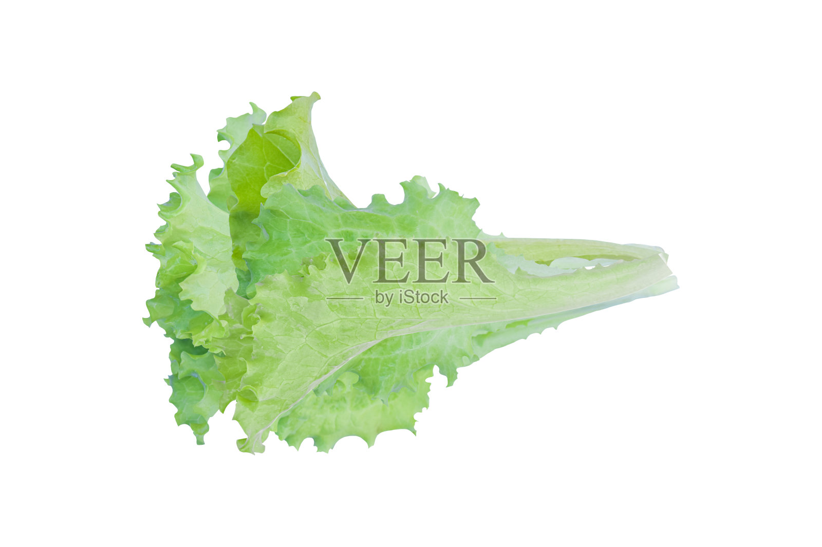 绿色生菜沙拉孤立在白色背景。剪切路径。照片摄影图片