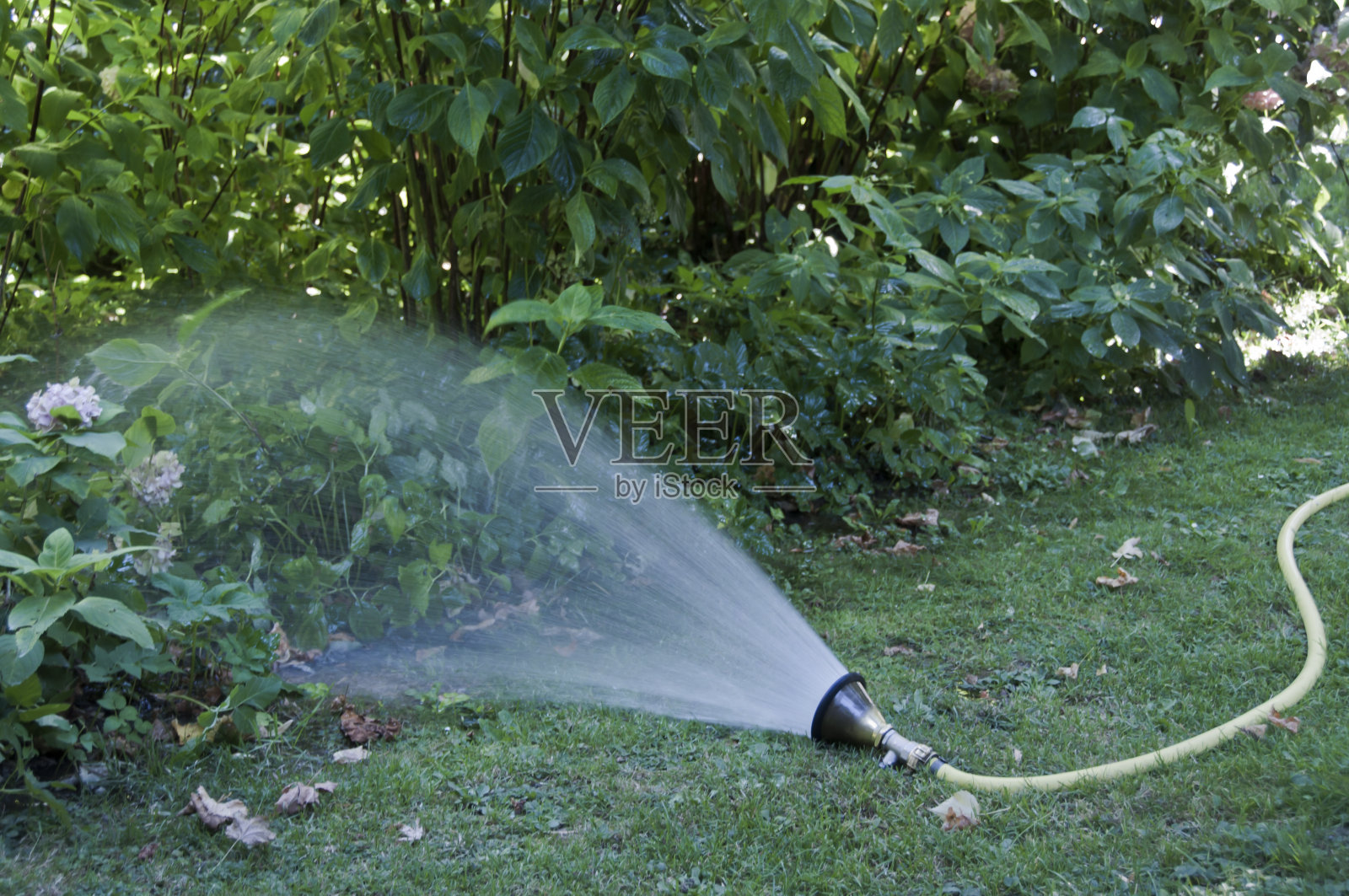 用洒水车手动浇灌花园照片摄影图片