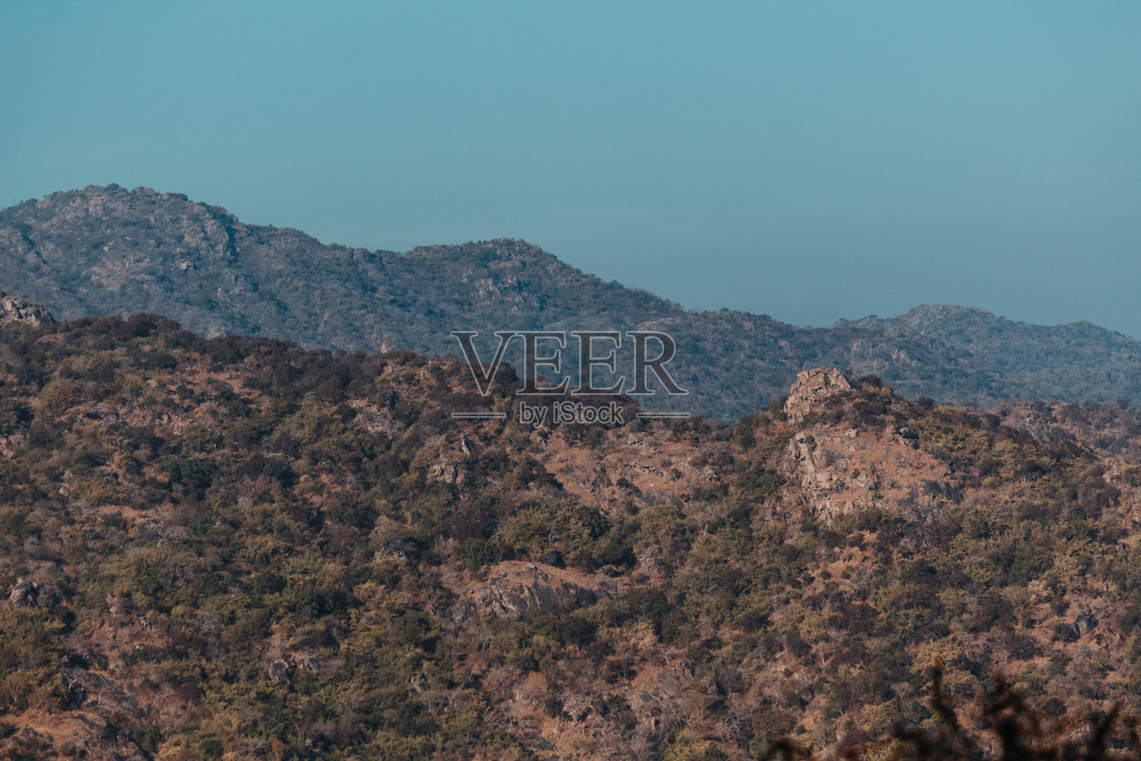印度拉贾斯坦邦的阿布山照片摄影图片