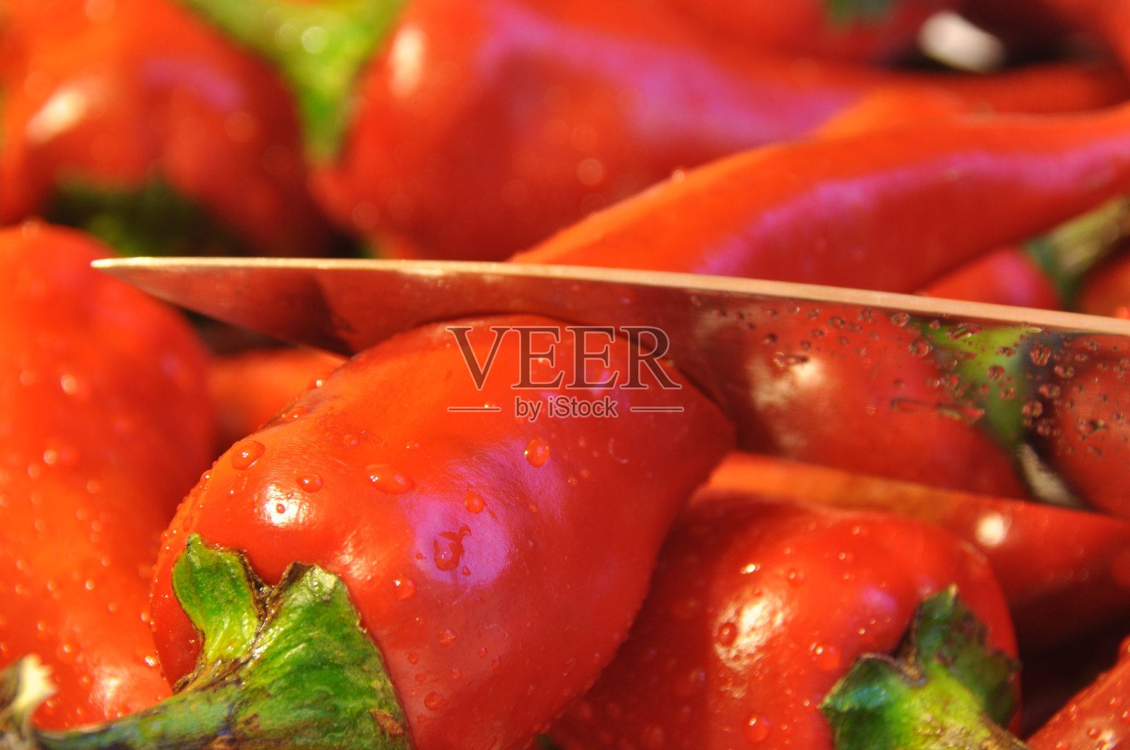 辣椒。青菜豆荚红，辣照片摄影图片