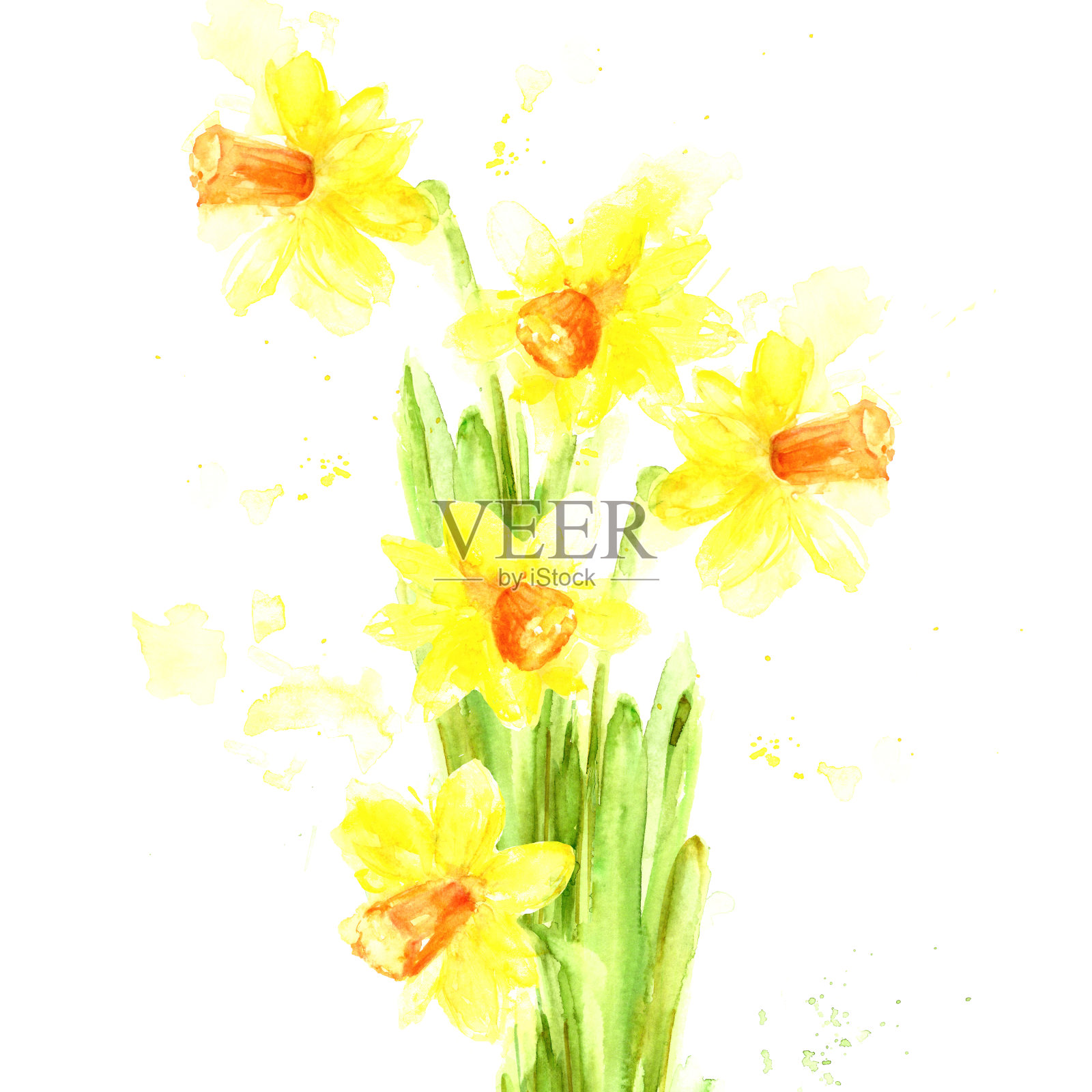 手绘水彩花插画图片素材