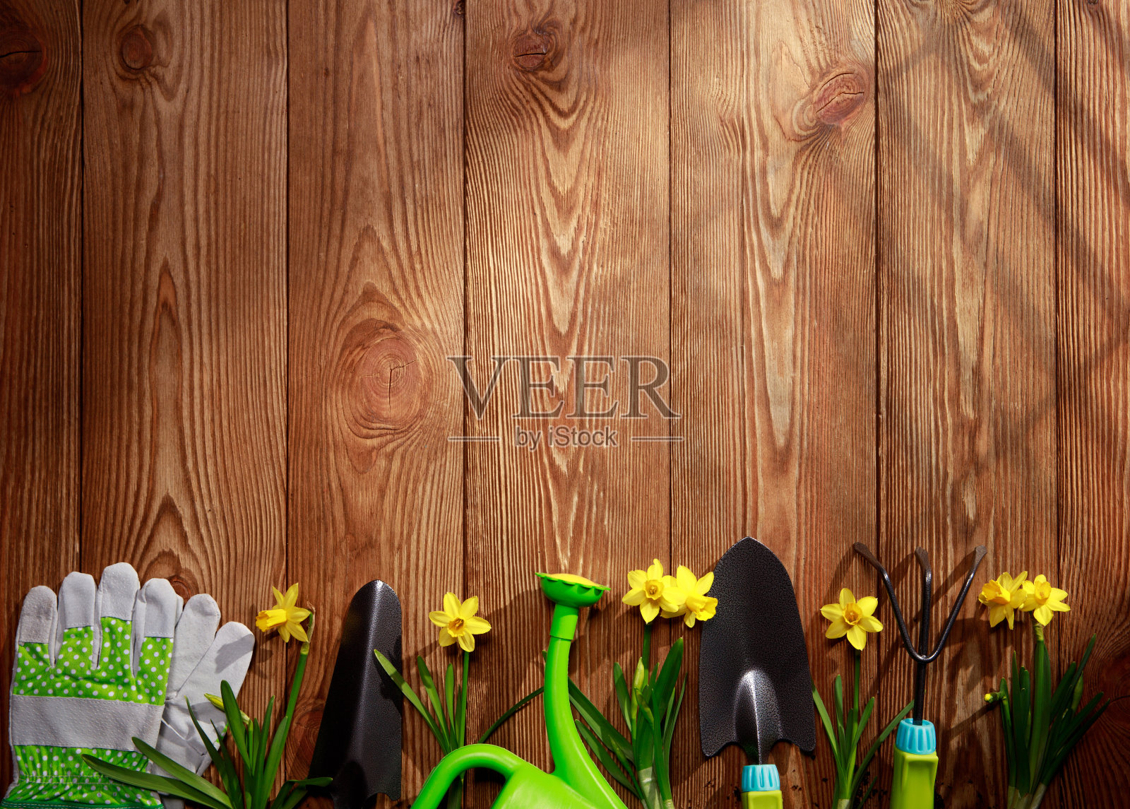 园艺工具，种子和土壤在木桌上，户外园艺工具和植物。照片摄影图片