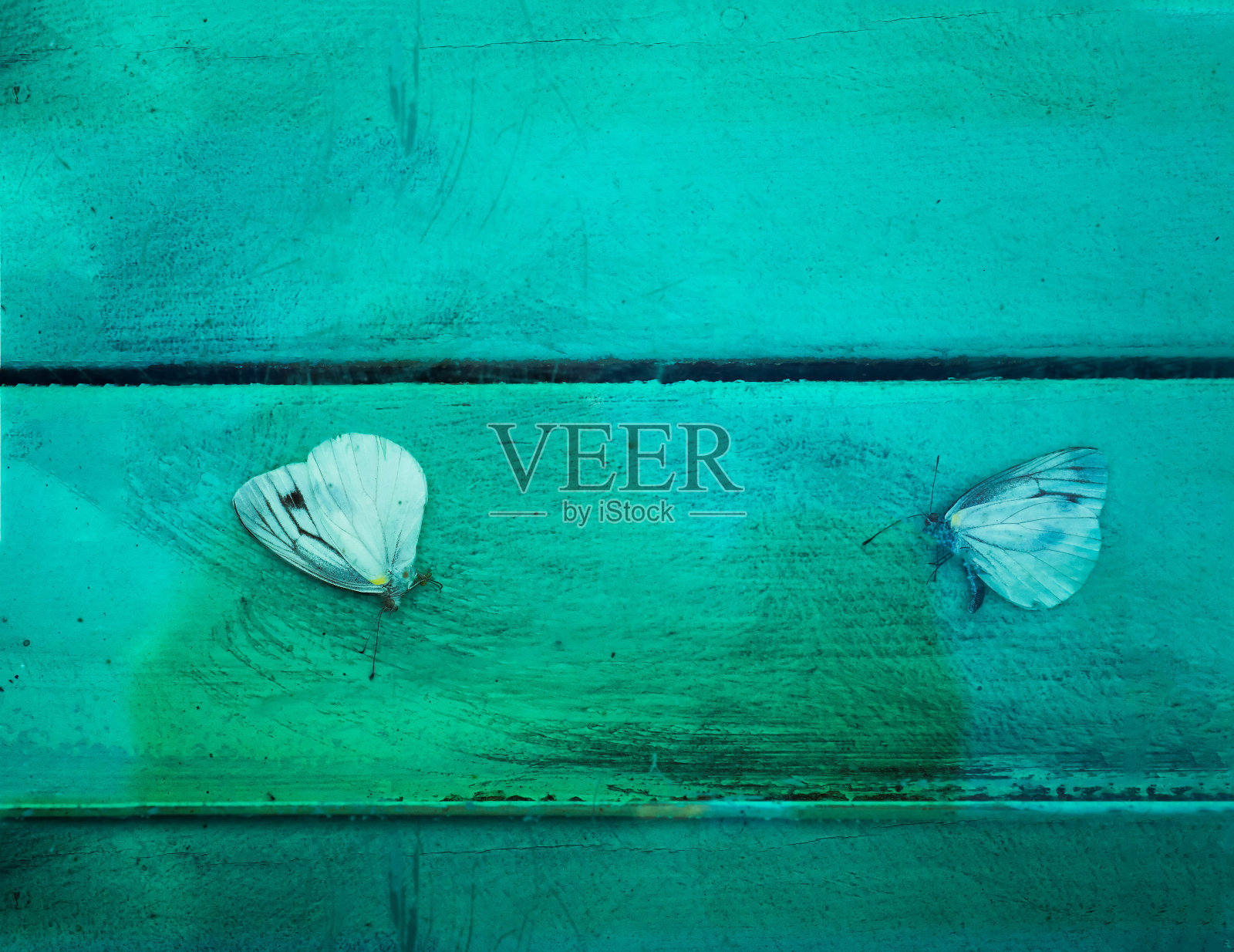 木制的旧板纹理在瘀伤色调与飘落的白色蝴蝶照片摄影图片