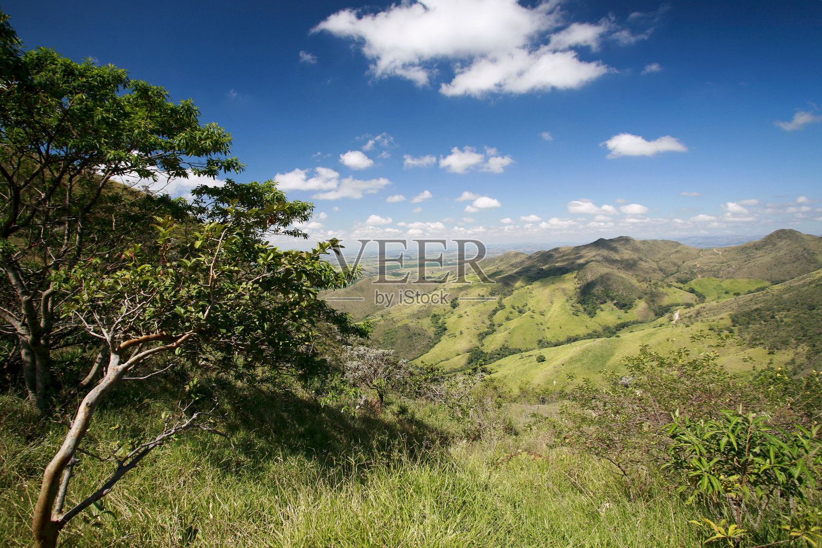 Canastra的温室视图照片摄影图片