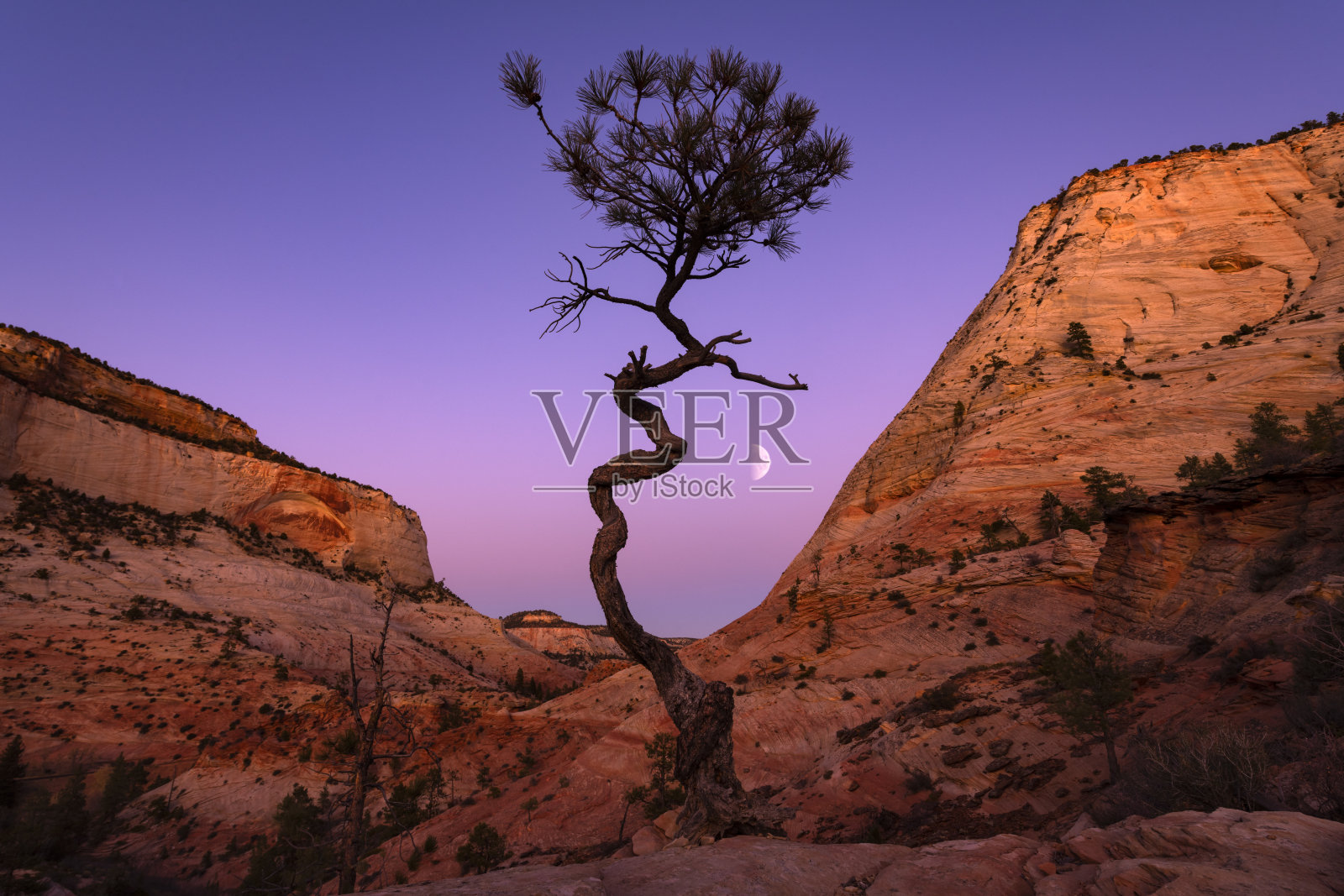 棋盘台面月光照片摄影图片