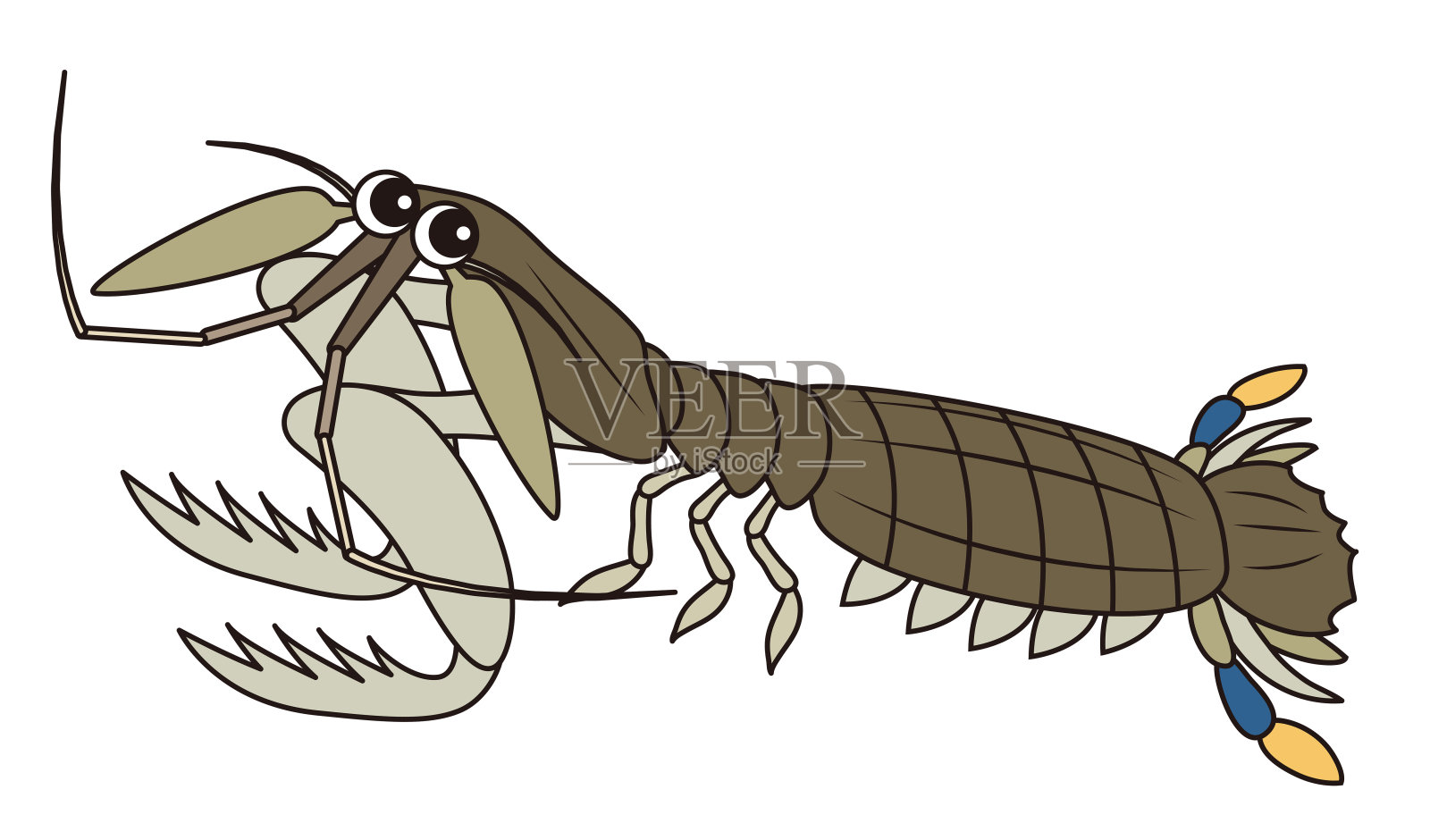 Shako oratsquilla oratoria角色插画插画图片素材