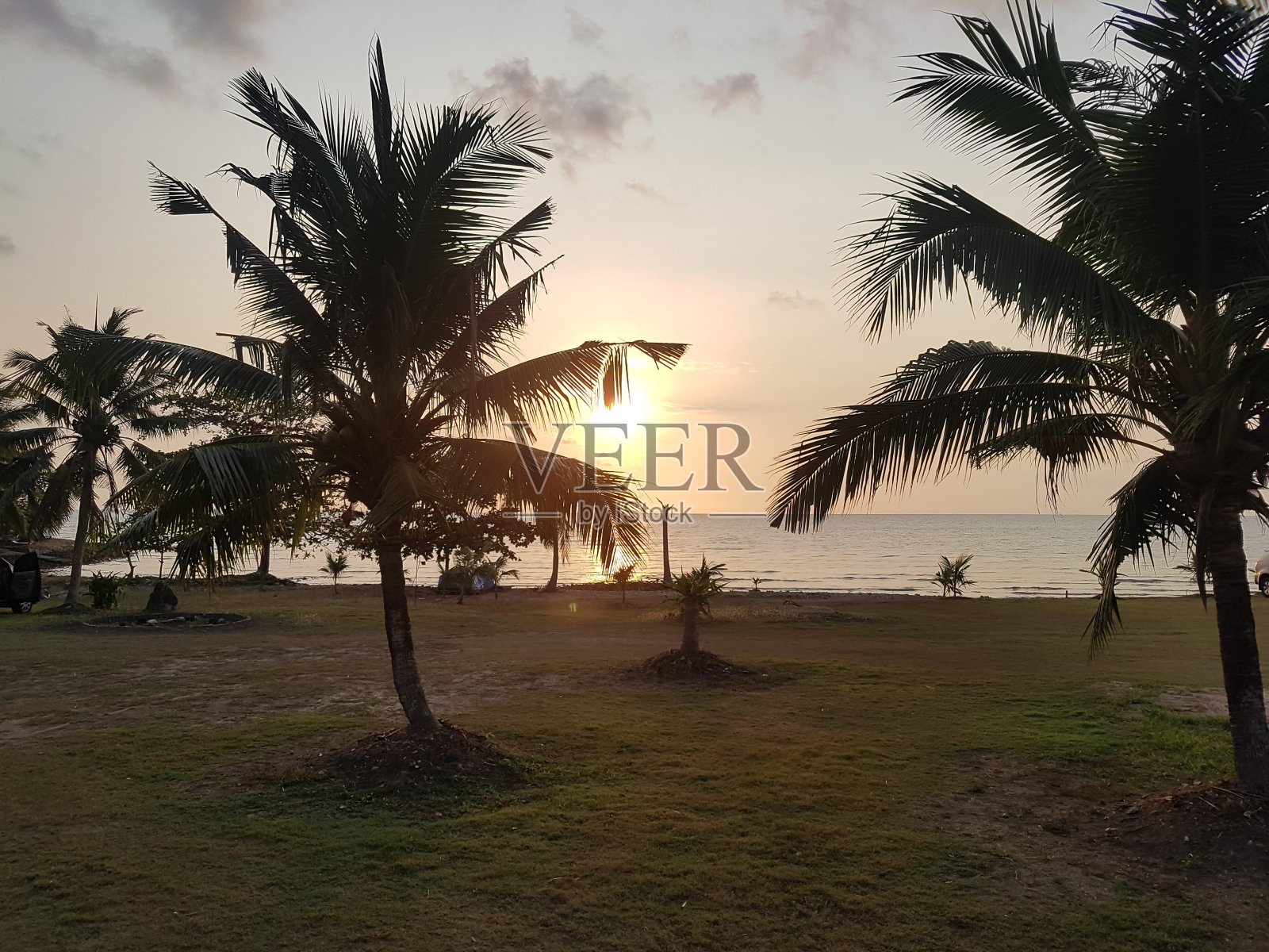 最好的senset图片照片摄影图片