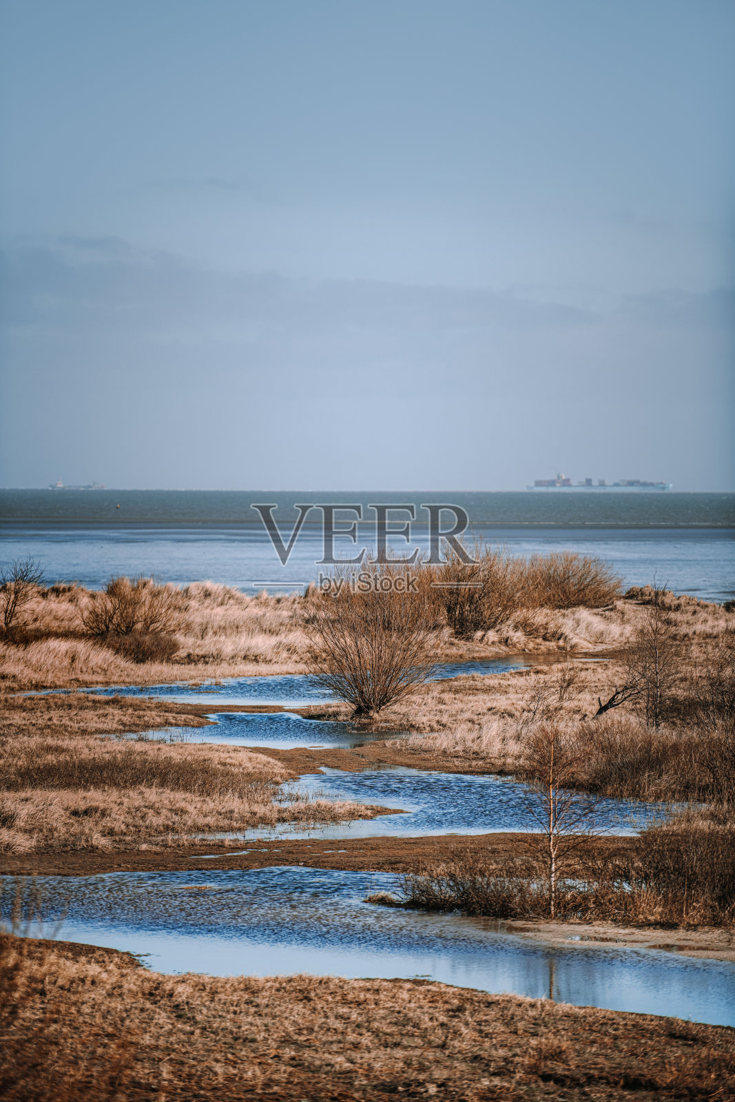 威廉港海滩和大海照片摄影图片