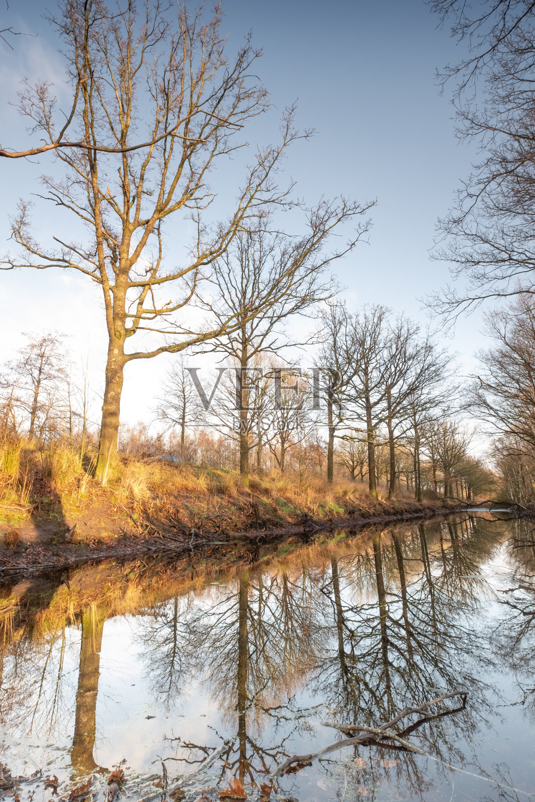 荷兰Fochteloerveen大型自然保护区的运河倒影照片摄影图片