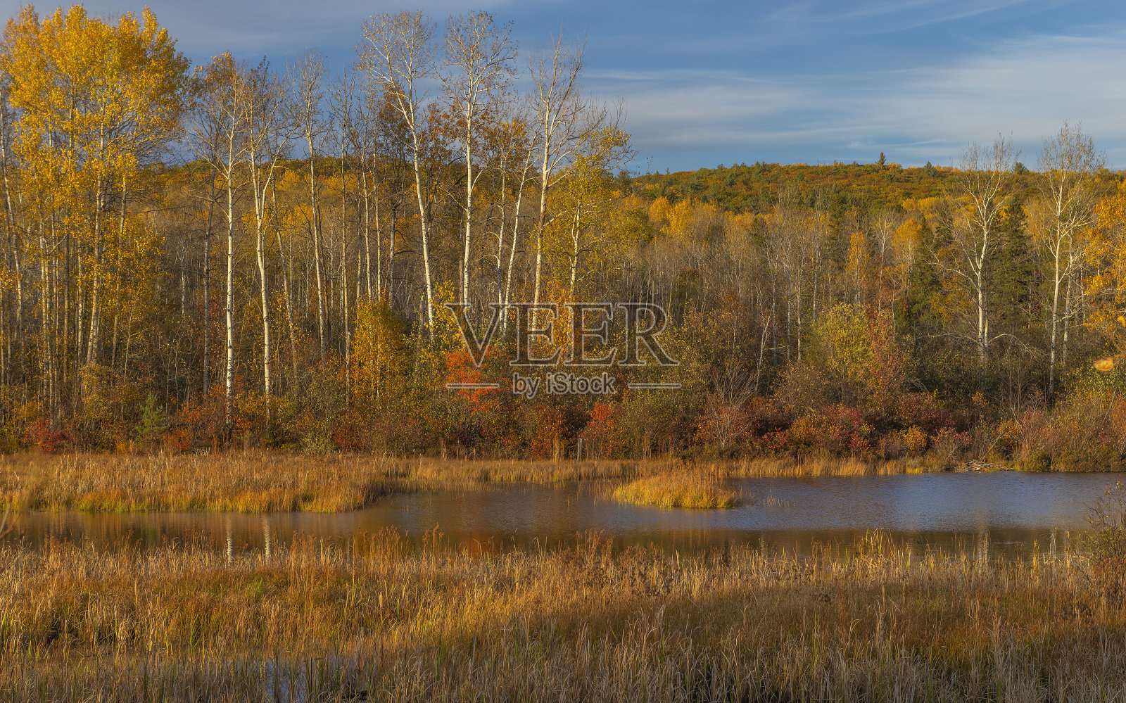 秋天在安大略省照片摄影图片
