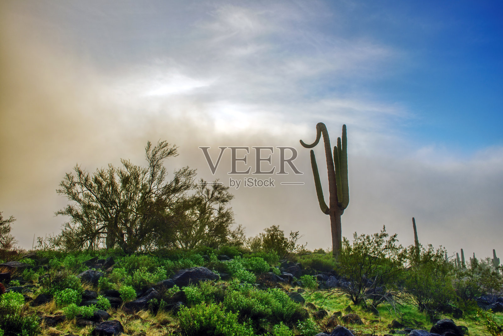 清晨山脊上的佐古罗照片摄影图片