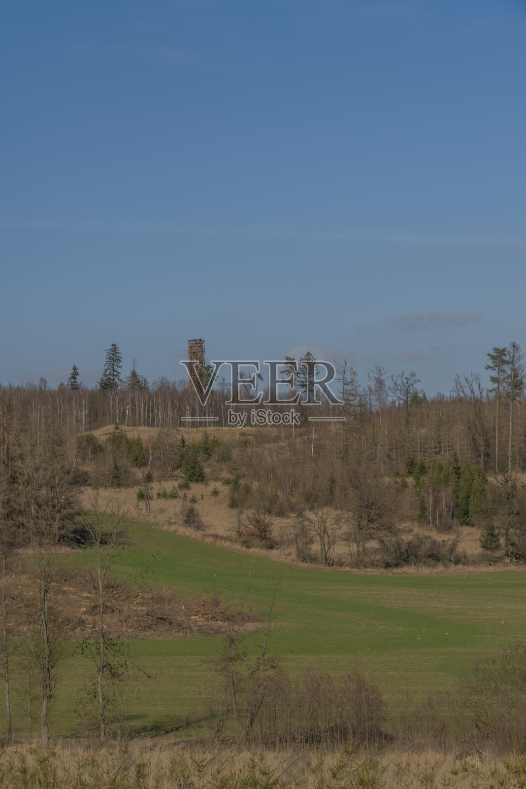 景观与砍伐后的森林树皮甲虫和瞭望塔照片摄影图片