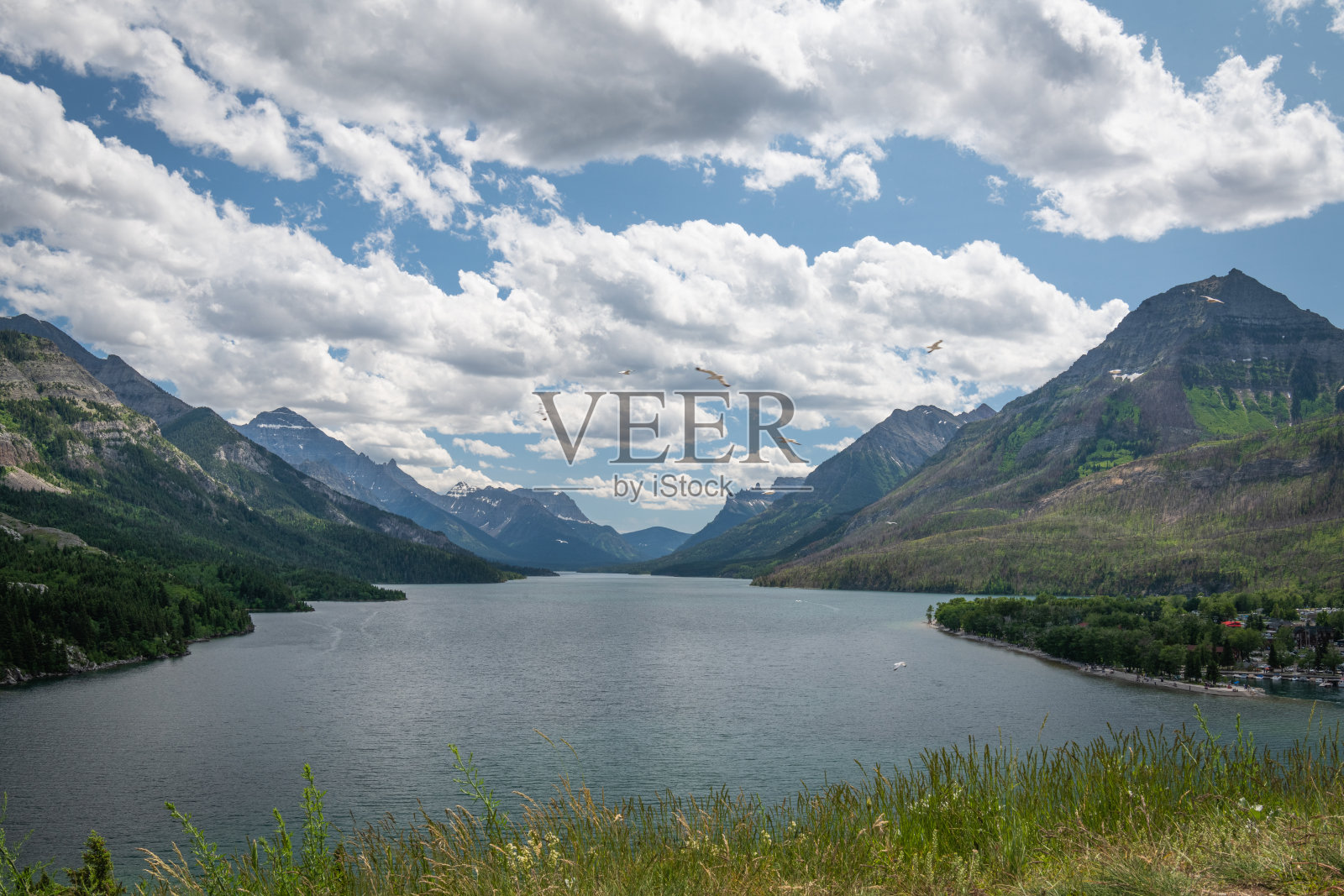 这是加拿大阿尔伯塔省沃特顿冰川国际和平湖国家公园晴朗的一天照片摄影图片