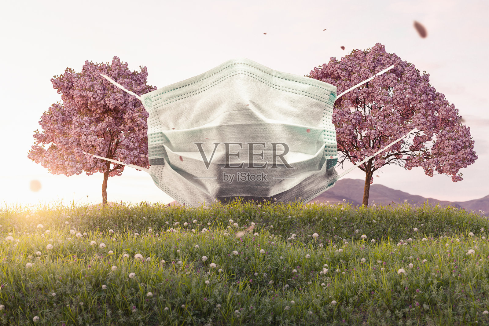 日本樱桃树上挂着防护面具。三维渲染照片摄影图片