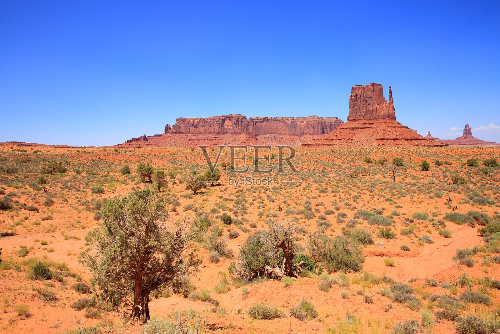 美国亚利桑那州阳光明媚的纪念碑谷照片摄影图片