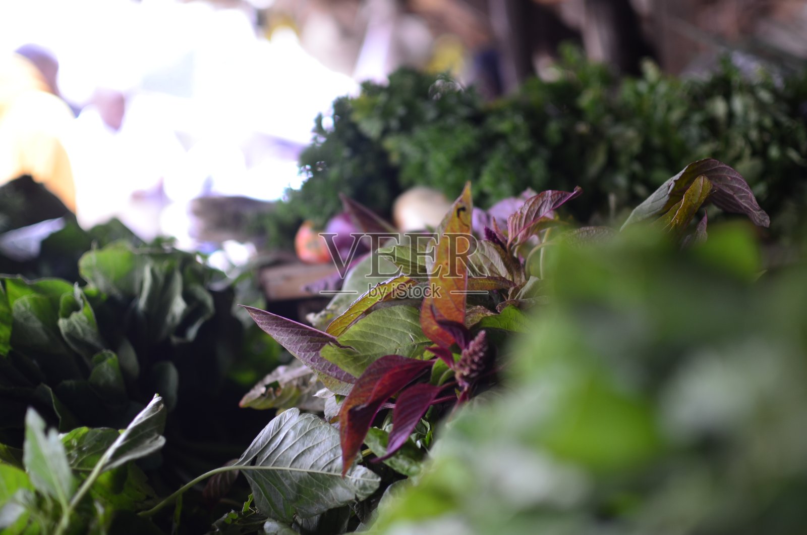 市场上的苋菜照片摄影图片