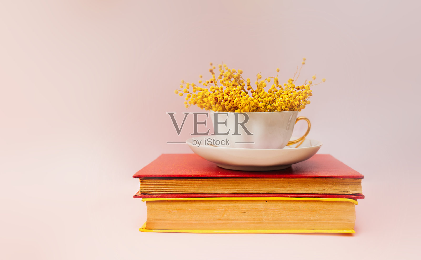 一幅美丽的春天极简主义静物画，一束含苞欲放的含苞欲放在白色瓷杯里，以柔和的粉红色为背景，还有两本旧书，硬红色封面，老式黄页照片摄影图片